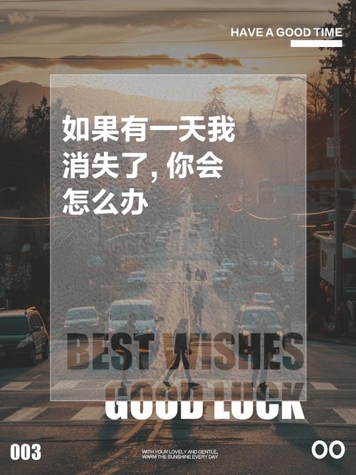 如果有一天我消失了你会不会难过截图