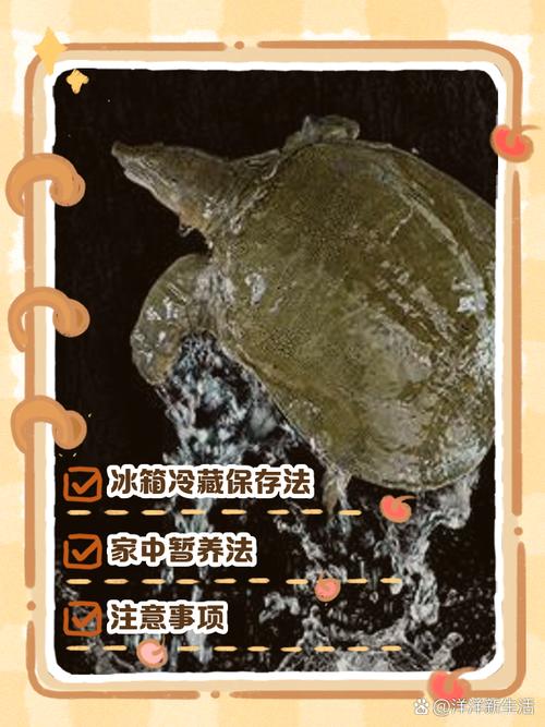甲鱼最多能冷冻几天图标
