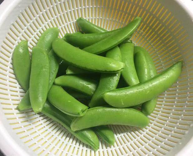 豆荚菜谱图标