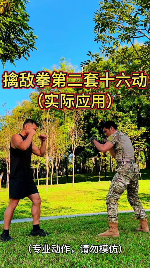擒拿拳十六式分解