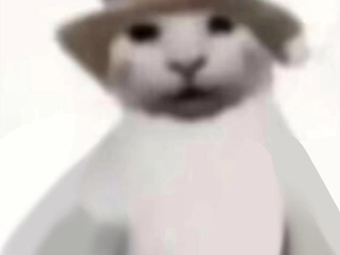创作猫是干嘛的