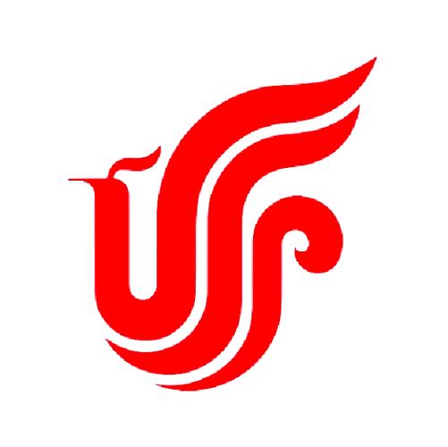 中国国航官网入口图标