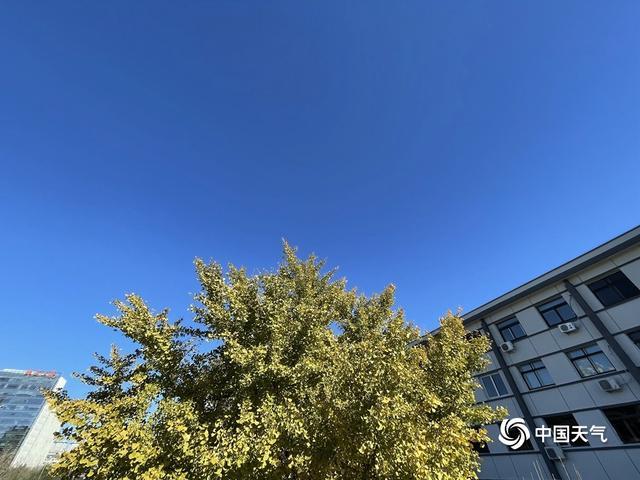 没有广告的天气预报app,是哪一种截图