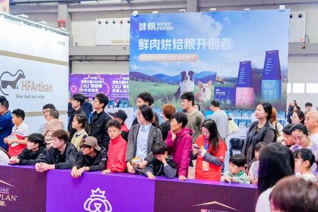 宠爱王国 面试图标