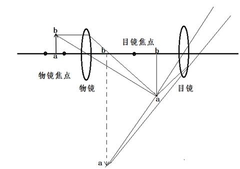光学显微镜的原理