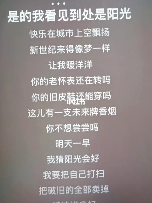 newboy小学生改编歌词截图