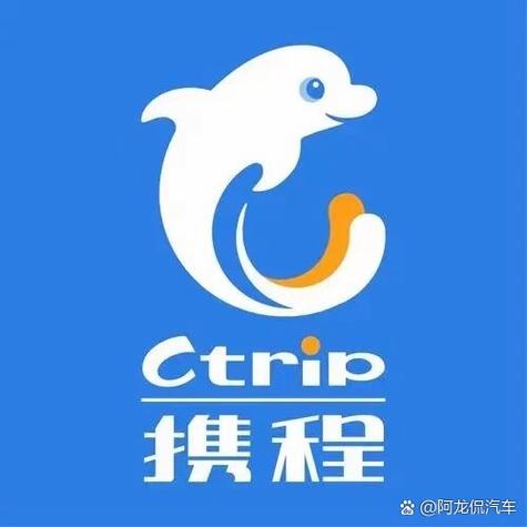 携程专车一天派几单