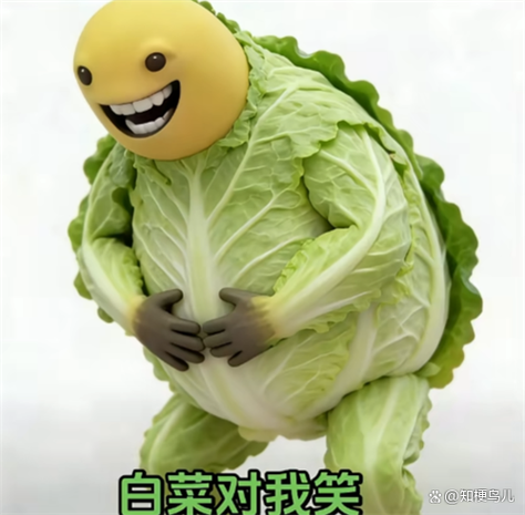 好白菜是什么意思截图
