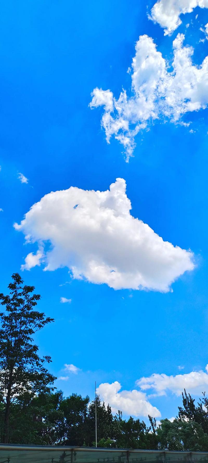 软天空2025年最新版本下载