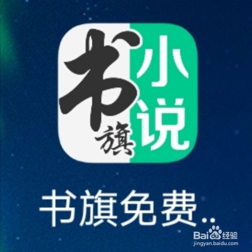 书旗小说广告投放WZ截图