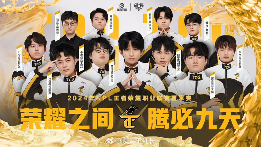 战队赛打满6场还能打吗