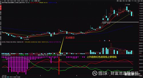 主力资金监测最强指标
