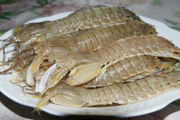 皮皮虾专业版18元有什么不同截图