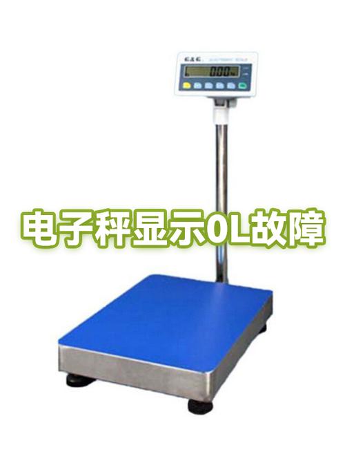 体重秤一站上去变成L0