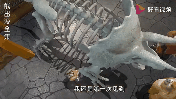 熊出没第41集恐龙化石下