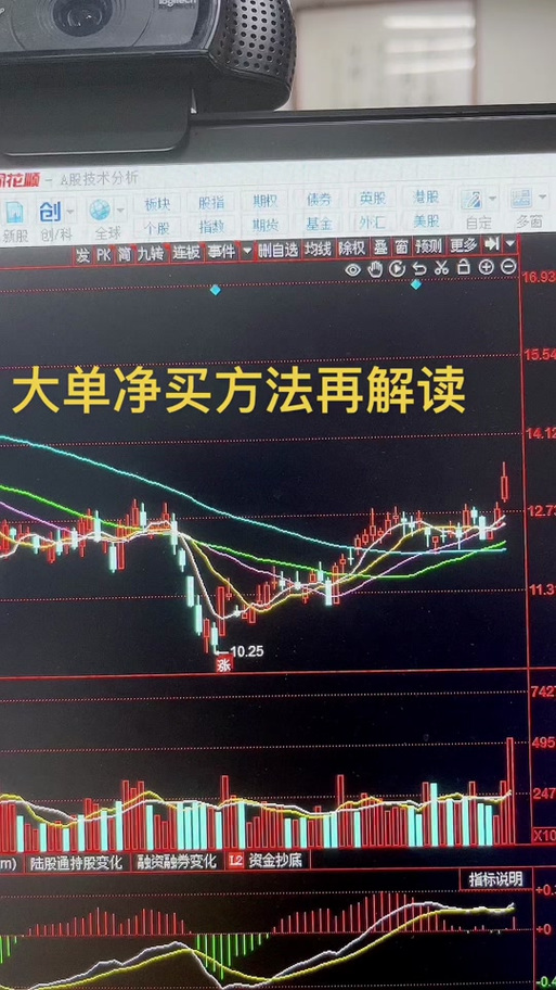 同花顺大单净量在哪里看