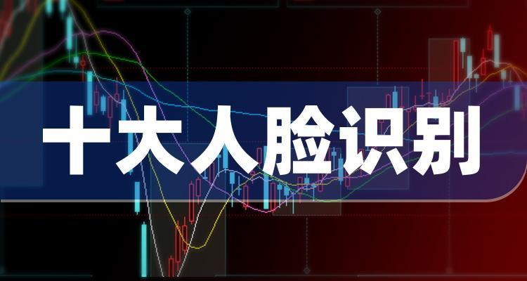 中国人脸识别十大公司