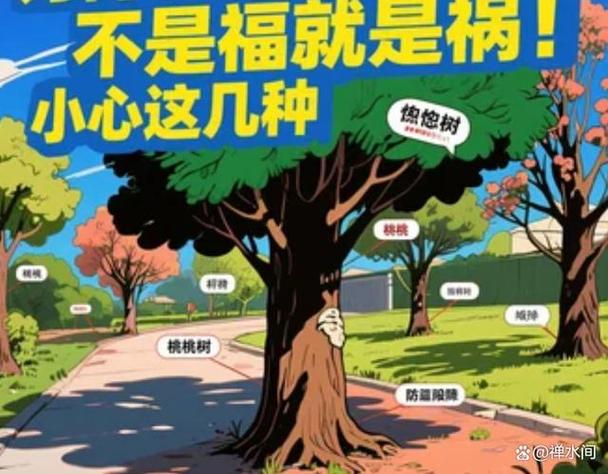 种树福