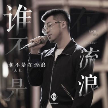 谁不是在流浪歌曲