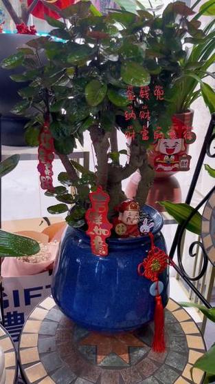 寓意钱多有钱的小名