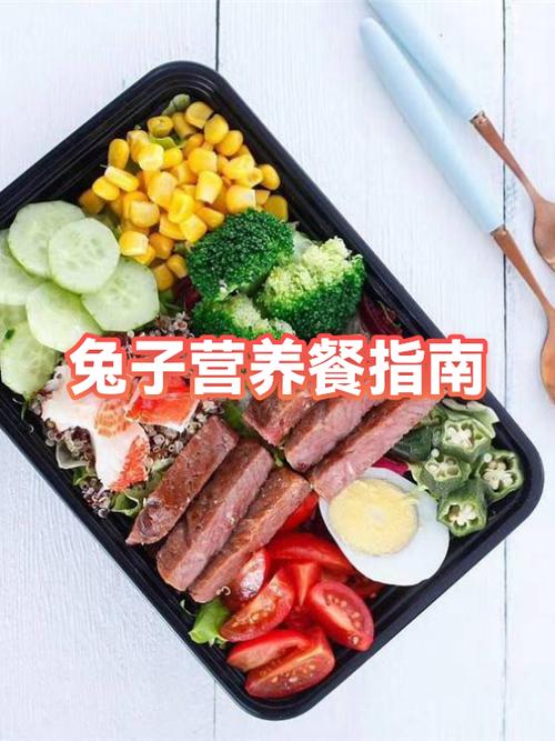 兔子吃什么当主食