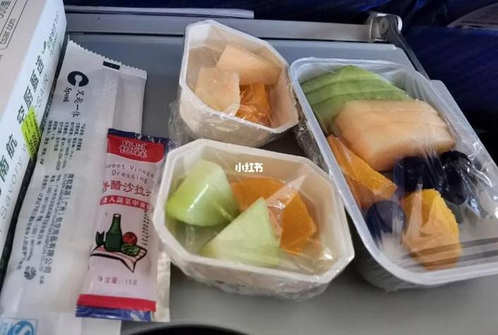 飞机上可以带吃的食物和水果吗图标