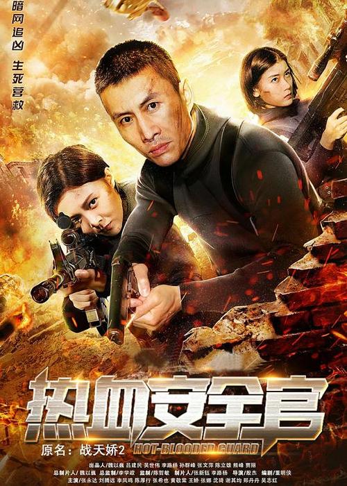 热血安全官 电影