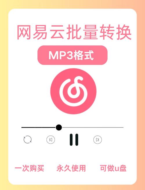 网易云音乐怎么转换mp3格式截图