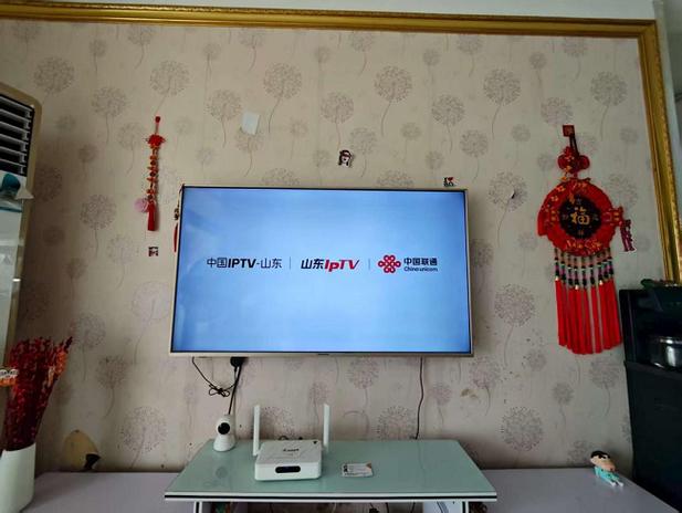 联通iptv用户密码游戏截图