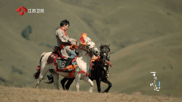 丁真公益直装王牌战争