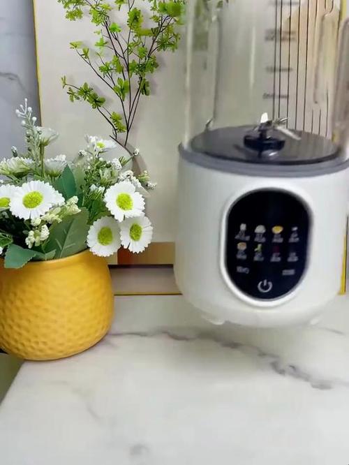 申花豆浆机使用视频截图