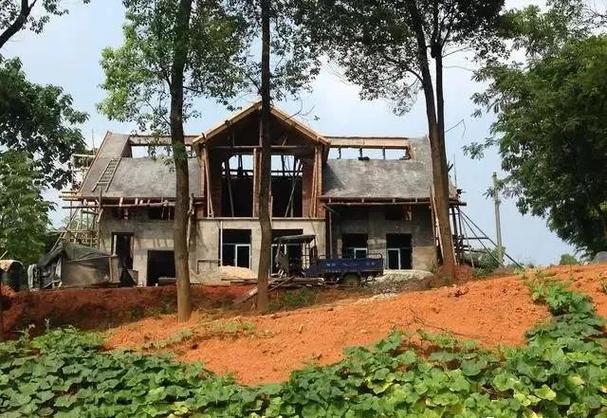 自家树地可以建房吗截图