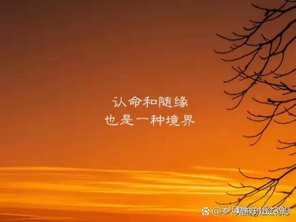 生命数字7号人的婚姻截图