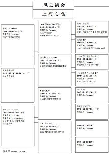 信鸽血统排名截图