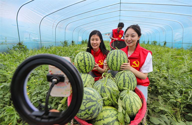 西瓜直播有底薪吗