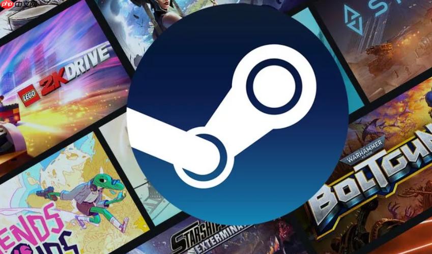 steam单机游戏没网能玩吗