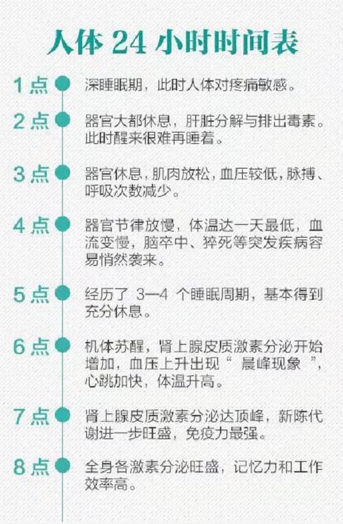 人体生物钟时间表