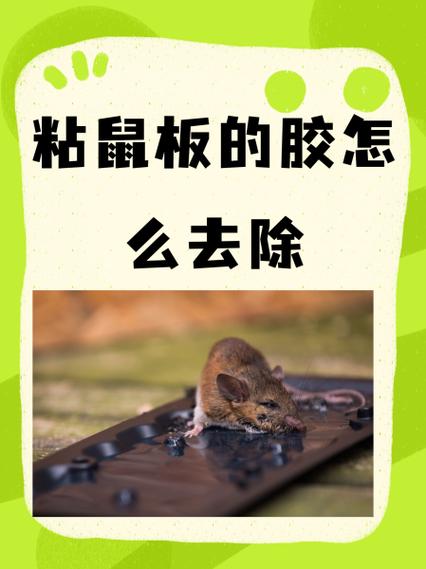 羽绒服被老鼠贴粘了怎么洗掉