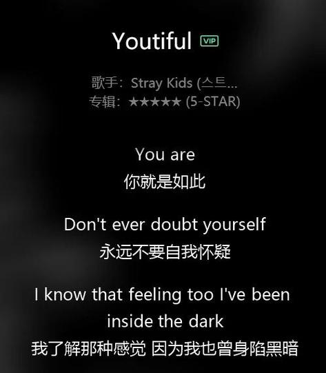 straykids中文歌词
