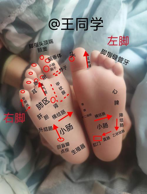 荣耀小脚丫在哪个位置