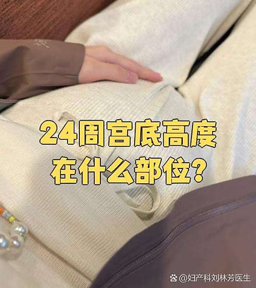 宫底