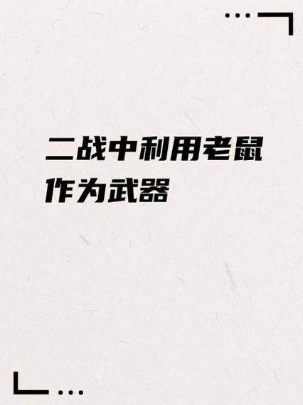 看见老鼠用什么武器