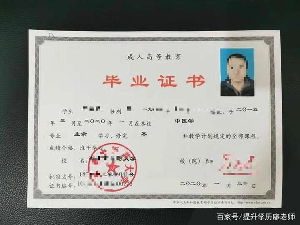 成人本科截图