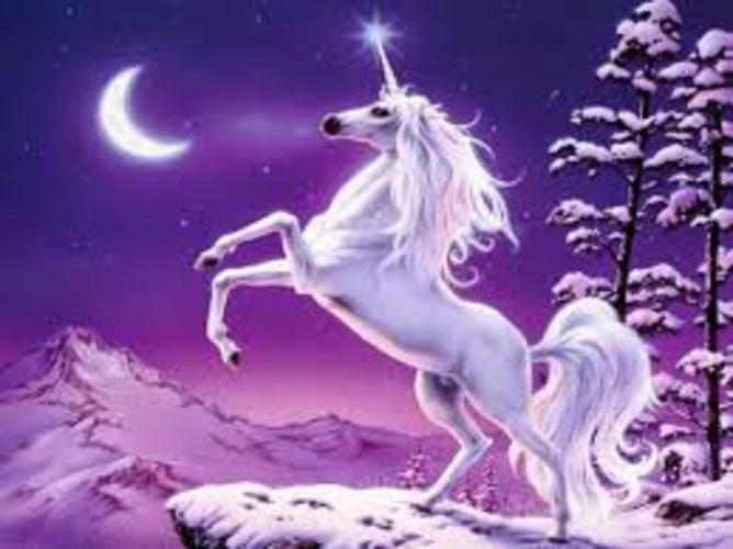 女神unicorn