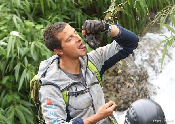 贝尔荒野求生沼泽地