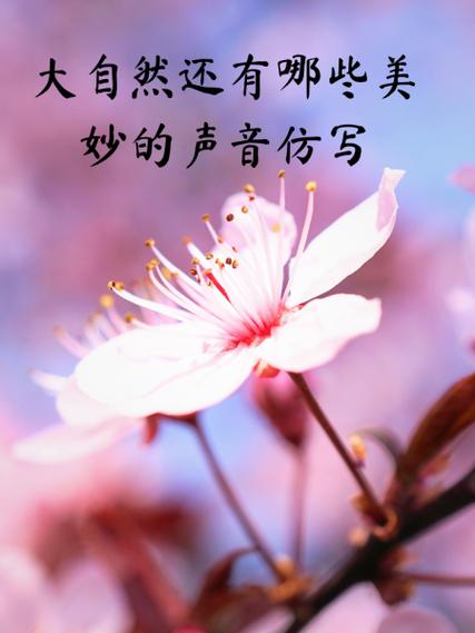 描写音乐的优美片段图标