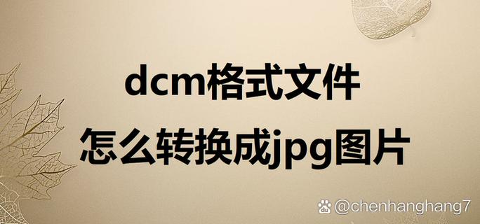 怎么把文件转成dcm格式