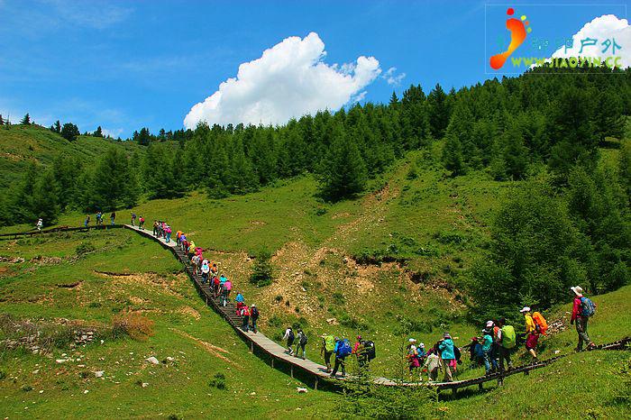 驴行天下旅游网截图