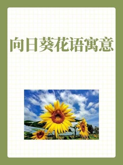 向日葵几朵寓意才好