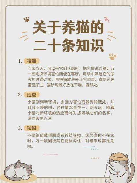 养猫要注意些什么